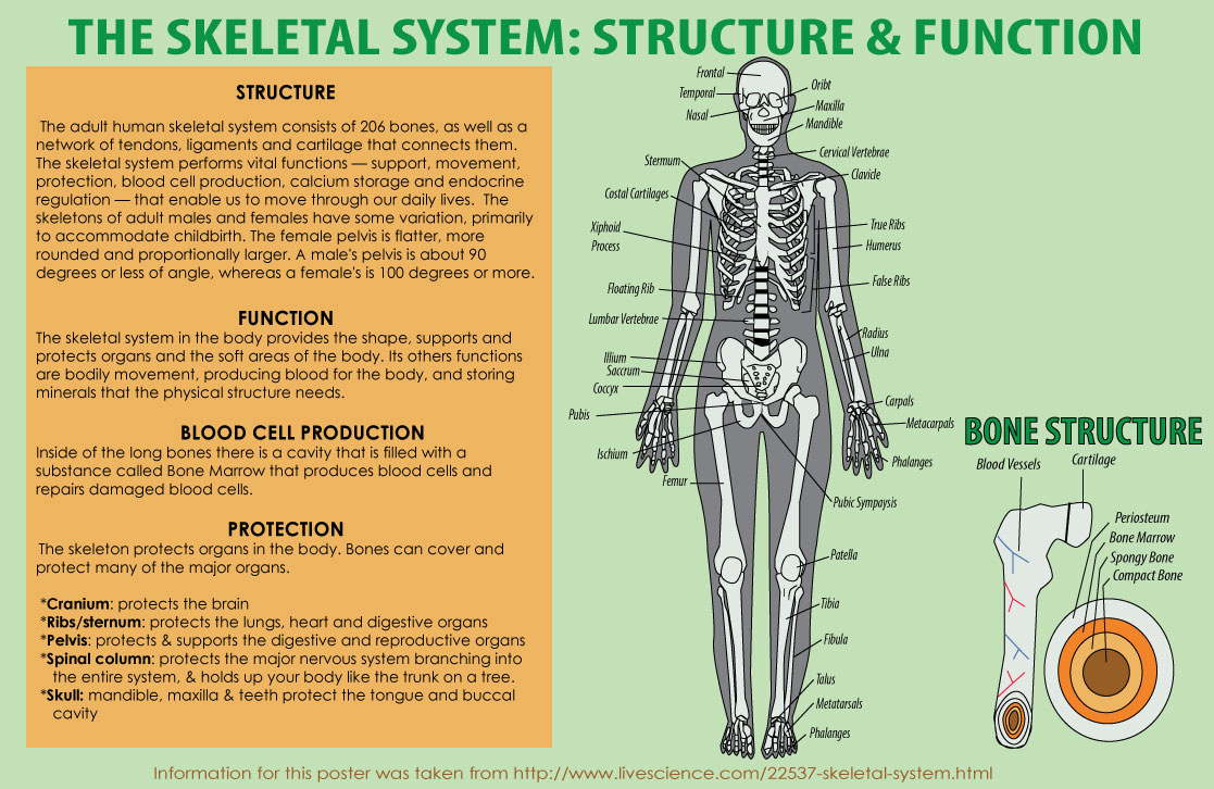 Infographic