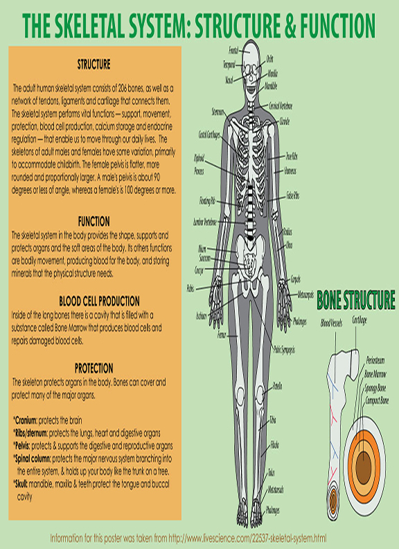 Infographic